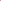 Shocking Pink | Turkish